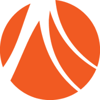 Celadonsoft logo